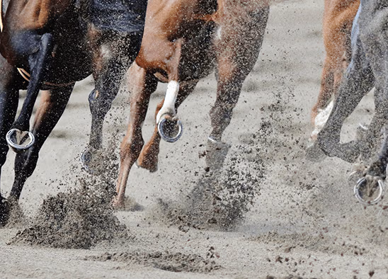 JRA競馬場ダートへの砂供給事例